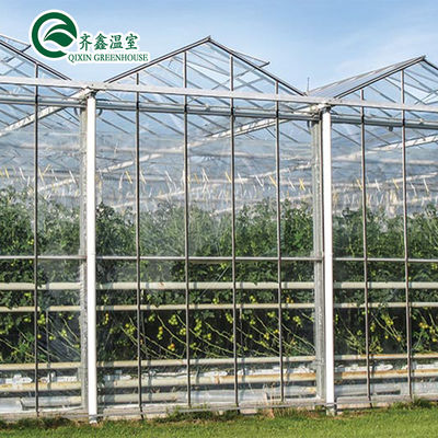 Polykarbonaatplaat Aquaponic Tomato gegalvaniseerd staal buis voor geprefabriceerde PcTent kas