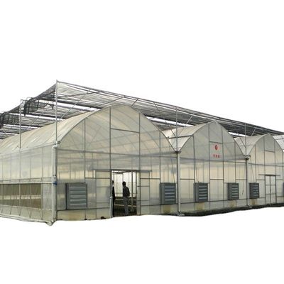 Gebruikte container tomaten kasmateriaal PE optioneel ventilatiesysteem