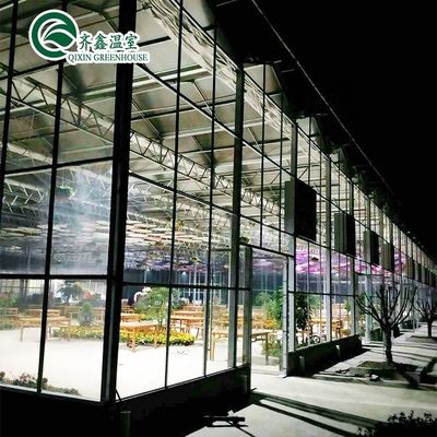 Gegalvaniseerde staalstructuur Venlo Glaskas voor de teelt van groenten Fruit Bloemen