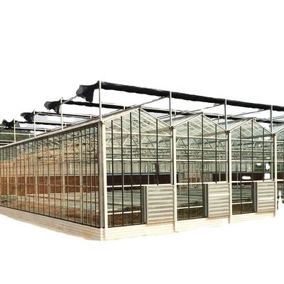 3.8m-9.8m Ridge Height Glass Solar Greenhouse voor klantvereisten