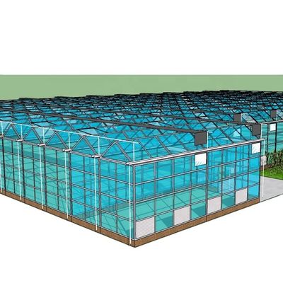 Groenten Vruchten Bloemen Aquaponische systemen Meervoudige landbouwkasten Opbrengst