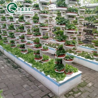 PO-filmbeschermde hydroponische indoorgroei-systemen voor kassen