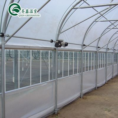 Grootte aanpasbaar Hoogtunnel Landbouwskool met een enkele spanning
