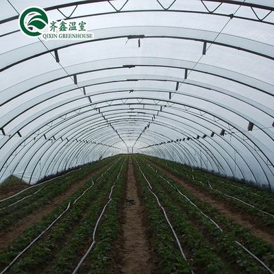 Grootte aanpasbaar Hoogtunnel Landbouwskool met een enkele spanning