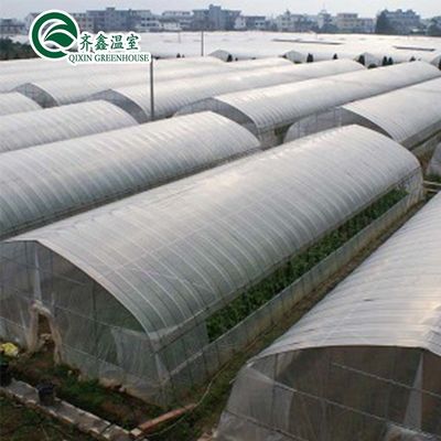 Grootte aanpasbaar Hoogtunnel Landbouwskool met een enkele spanning