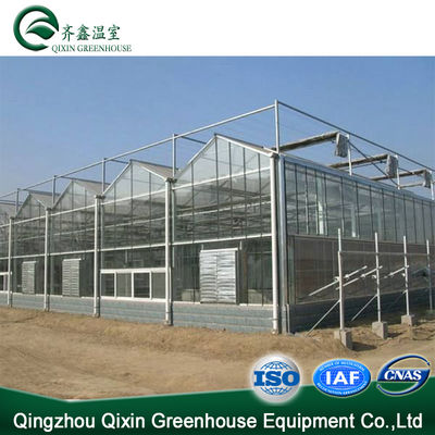 Groenten Fruit Bloemen Tomaten Warm galvaniseren Aluminium Staalstructuur Kas
