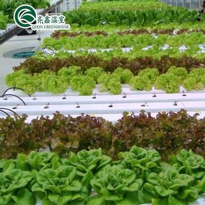 Op maat gemaakte met glas bedekte groentebroeikas voor restaurantgroei
