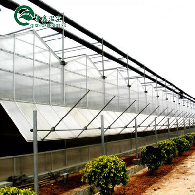 Polykarbonaatplaat Aquaponic Tomato gegalvaniseerd staal buis voor geprefabriceerde PcTent kas