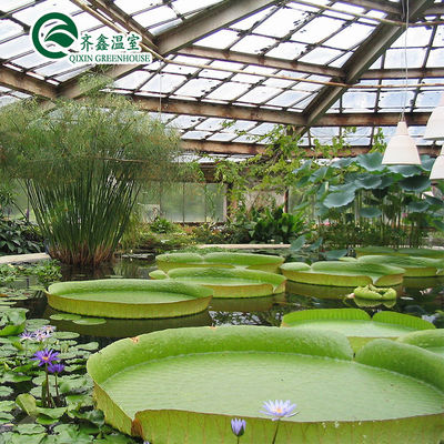 Polykarbonaatplaat Aquaponic Tomato gegalvaniseerd staal buis voor geprefabriceerde PcTent kas