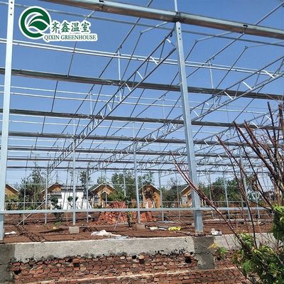 Multi-Span Landbouwgreenhouses Voorgefabriceerde regenbescherming voor de tamatieverbouwing