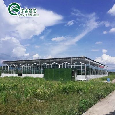 Multi-Span Landbouwgreenhouses Voorgefabriceerde regenbescherming voor de tamatieverbouwing