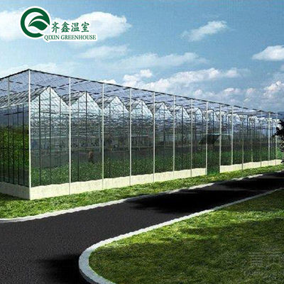 Automatische besturingsbak 25 jaar gegalvaniseerd staalconstructie voor grote glazen kas