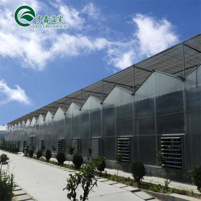 Hoofdstructuur Warm gegalvaniseerd Aluminium staal Prefab Groenhuis voor Tomatenteelt