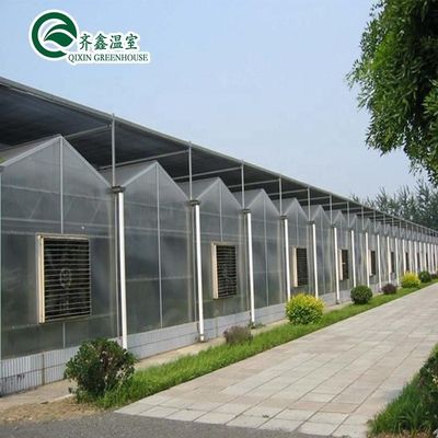 Hoofdstructuur Warm gegalvaniseerd Aluminium staal Prefab Groenhuis voor Tomatenteelt