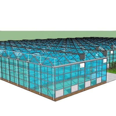 3.8m-9.8m Ridge Height Glass Solar Greenhouse voor klantvereisten