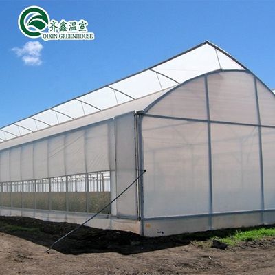 Warm gegalvaniseerd aluminium staalstructuur Landbouw Tunnel kas voor groenten