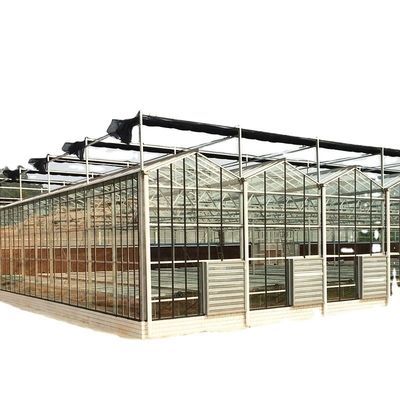 Grote op maat gemaakte landbouwglaskas met PVC-hydroponisch gootstelsel