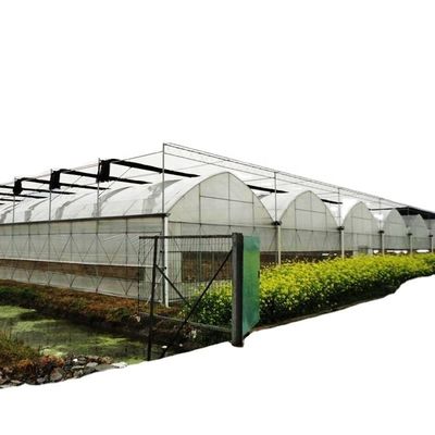 Inwendige schaduwsystemen Champignon kasapparatuur voor groenten, fruit en bloemen