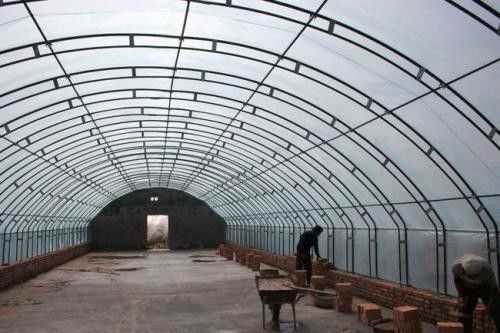 Filmomslag Groentehuis met een enkele laag voor duurzaam landbouw