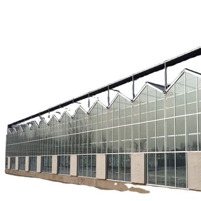 Grote glazen kas Champignon Aeroponic Tower Tuin voor Eco Restaurant Instructie