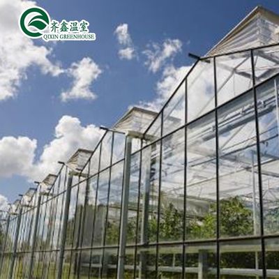 Grote glazen kas Champignon Aeroponic Tower Tuin voor Eco Restaurant Instructie