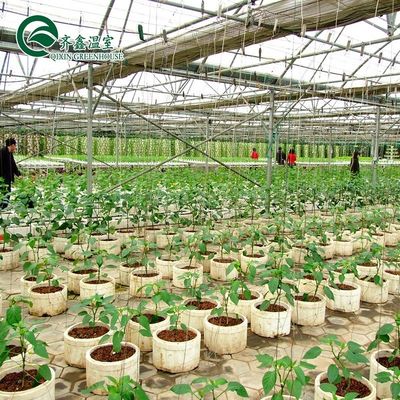 Grote glazen kas Champignon Aeroponic Tower Tuin voor Eco Restaurant Instructie