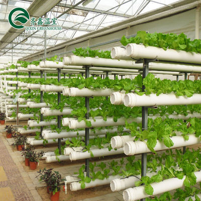 Verticaal hydroponisch systeem met glasbedekking voor de teelt van groenten, fruit en bloemen
