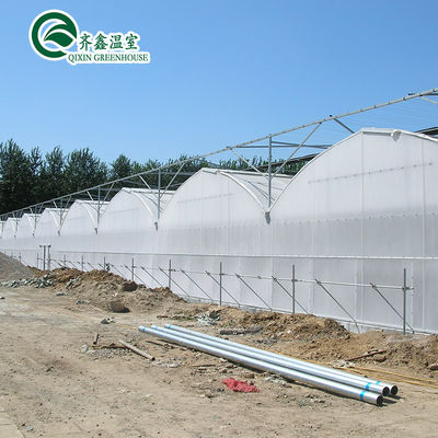 Multi-span landbouwkasten met gebruikte hydroponische kweeksystemen in containers