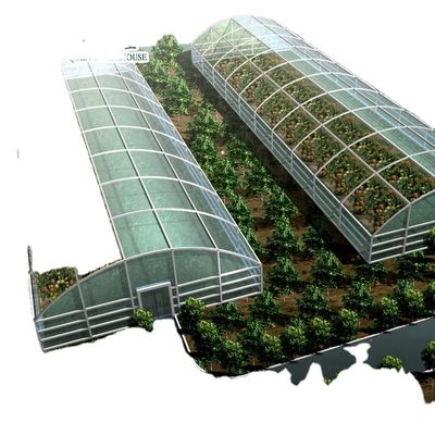 Groei uw eigen groenten, fruit en bloemen met onze commerciële kas Filipijnen