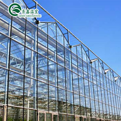Verticaal hydroponisch systeem met glasbedekking voor de teelt van groenten, fruit en bloemen
