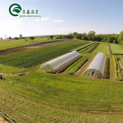 Groei uw eigen groenten, fruit en bloemen met onze commerciële kas Filipijnen
