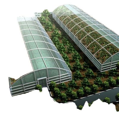 Commercieel aquaponisch aquarium systeem Prefab PO kassen voor groenten