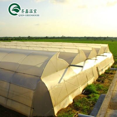 Gebruikte container tomaten kasmateriaal PE optioneel ventilatiesysteem