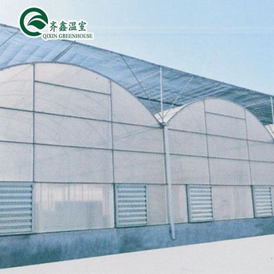 Gebruikte container tomaten kasmateriaal PE optioneel ventilatiesysteem
