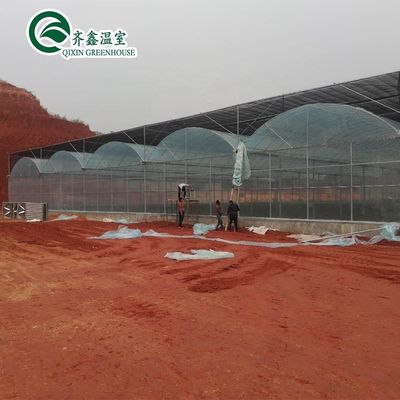 Gebruikte container tomaten kasmateriaal PE optioneel ventilatiesysteem