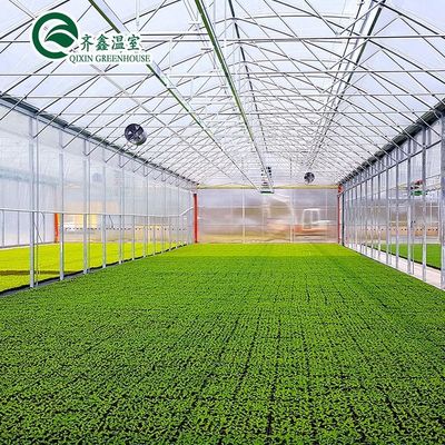 Groentehuis voor landbouw met een enkele laag PO Commercial Multi Span Polycarbonate Sheet Greenhouse