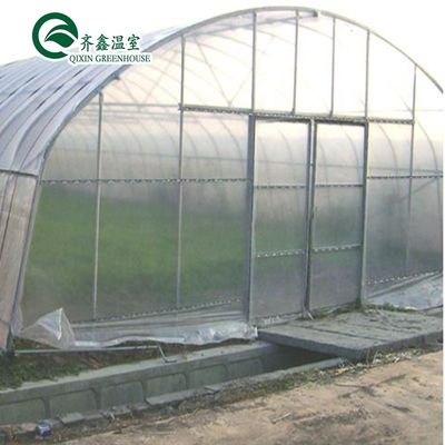 Groentehuis voor landbouw met een enkele laag PO Commercial Multi Span Polycarbonate Sheet Greenhouse