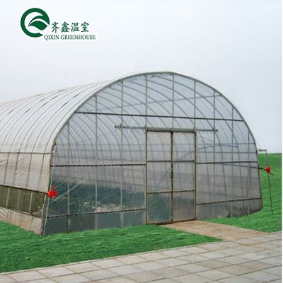 Groentehuis voor landbouw met een enkele laag PO Commercial Multi Span Polycarbonate Sheet Greenhouse
