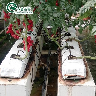 PO Tower Garden voor groenten en fruit Bloemen Budgetvriendelijke landbouwkas