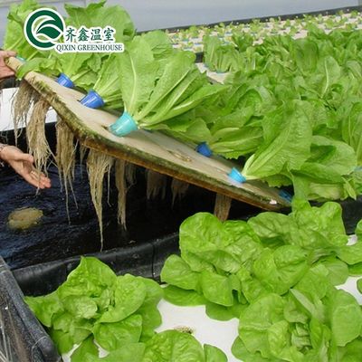 PO Tower Garden voor groenten en fruit Bloemen Budgetvriendelijke landbouwkas