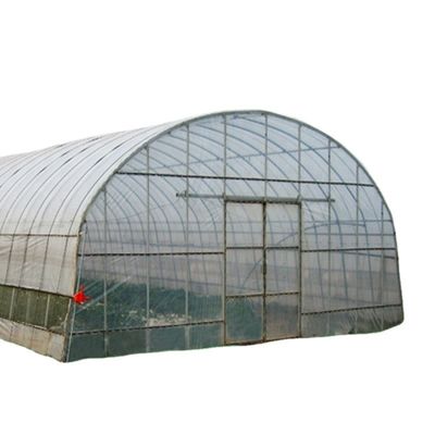 Groenten Fruit Bloemen Champignon Huis voor milieuvriendelijke teelt