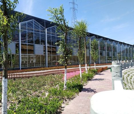 Multi-span landbouwkasten met een bovenkant met gehard glas of PC-plaat