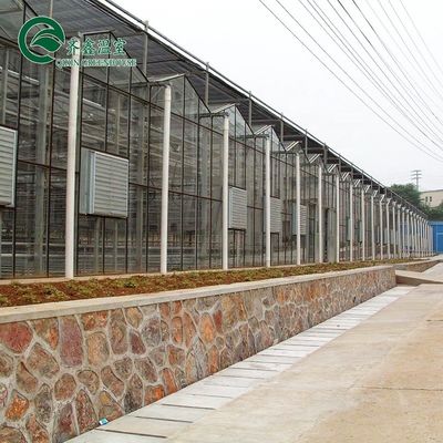 Multi-span landbouwkasten met een bovenkant met gehard glas of PC-plaat