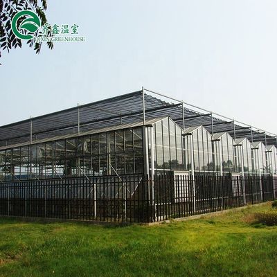 Multi-span landbouwkasten met een bovenkant met gehard glas of PC-plaat