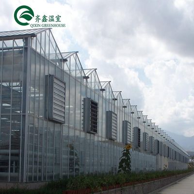 Multi-span landbouwkasten met een bovenkant met gehard glas of PC-plaat