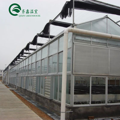 Venlo Multi-Span Greenhouse Verbetert de landbouw met binnen- en buitenschaduwsystemen