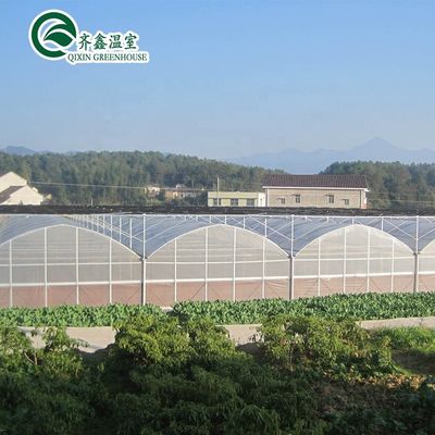 Multi-Span Landbouwgreenhouses Hydroponic Aeroponic Tower Tuin voor film Greenhouses