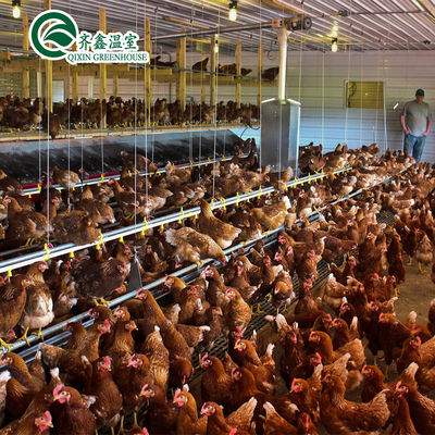 Grote dubbele laag kippenboerderij Multi-span film kas Aanpasbare grootte