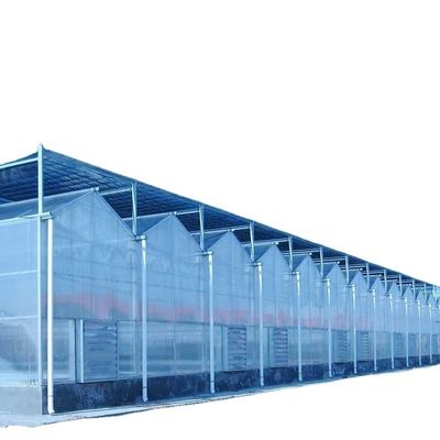 3.8m-9.8m Ridge Height Glass Solar Greenhouse voor klantvereisten