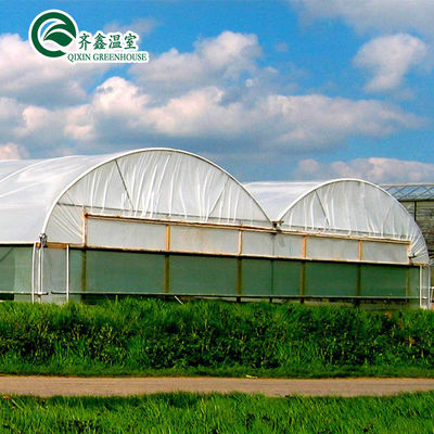 Grote dubbele laag kippenboerderij Multi-span film kas Aanpasbare grootte